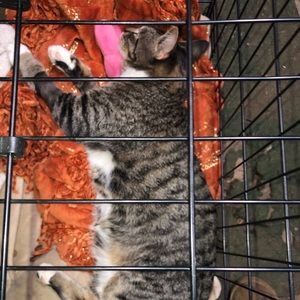 Meet your Posher, Kaitlin